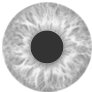Lens Color